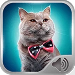 cat sounds ringtones android application logo